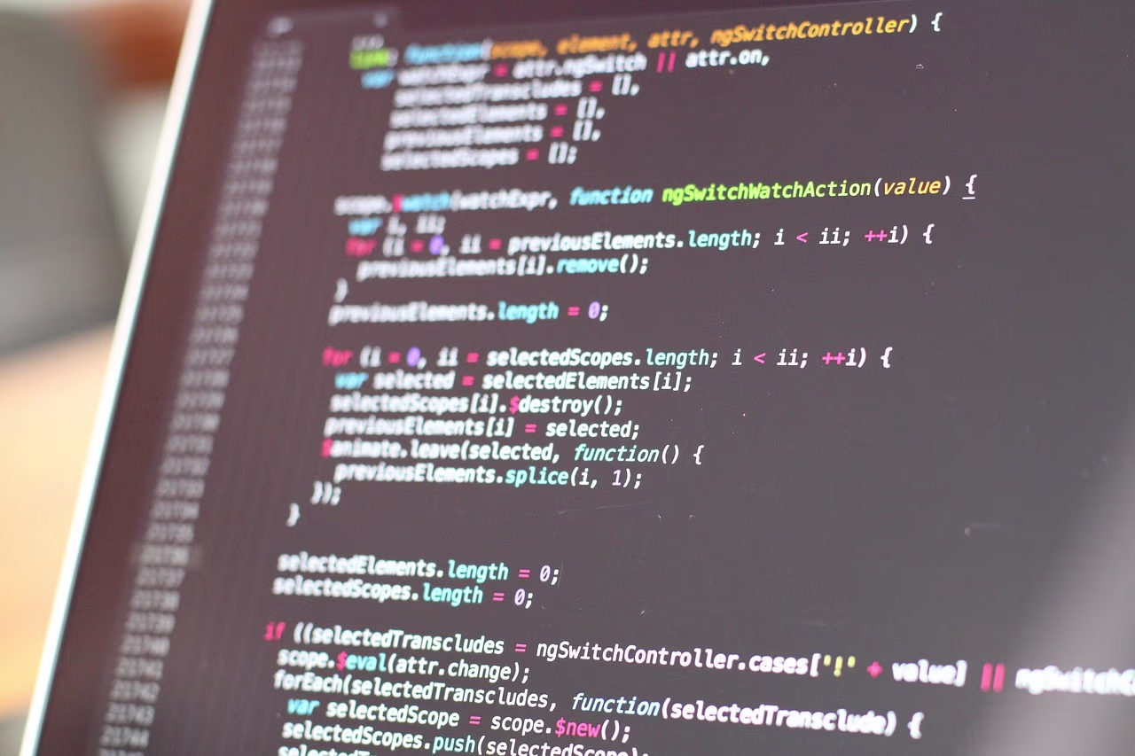 WordPress Support